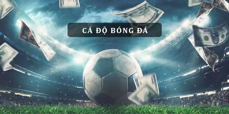 Cá độ bóng đá