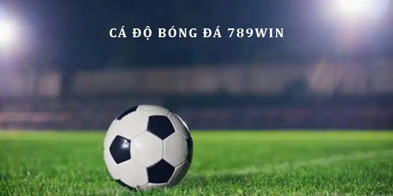 Giải mã cá độ bóng đá hấp dẫn nhất hiện nay
