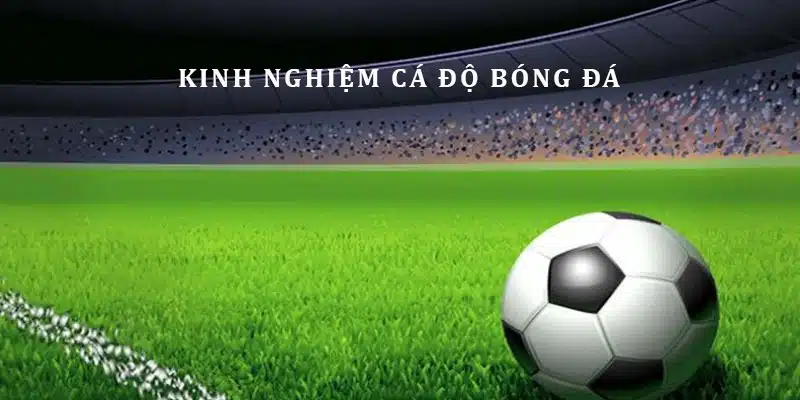 Mẹo chơi cá cược thể thao vua cực đỉnh